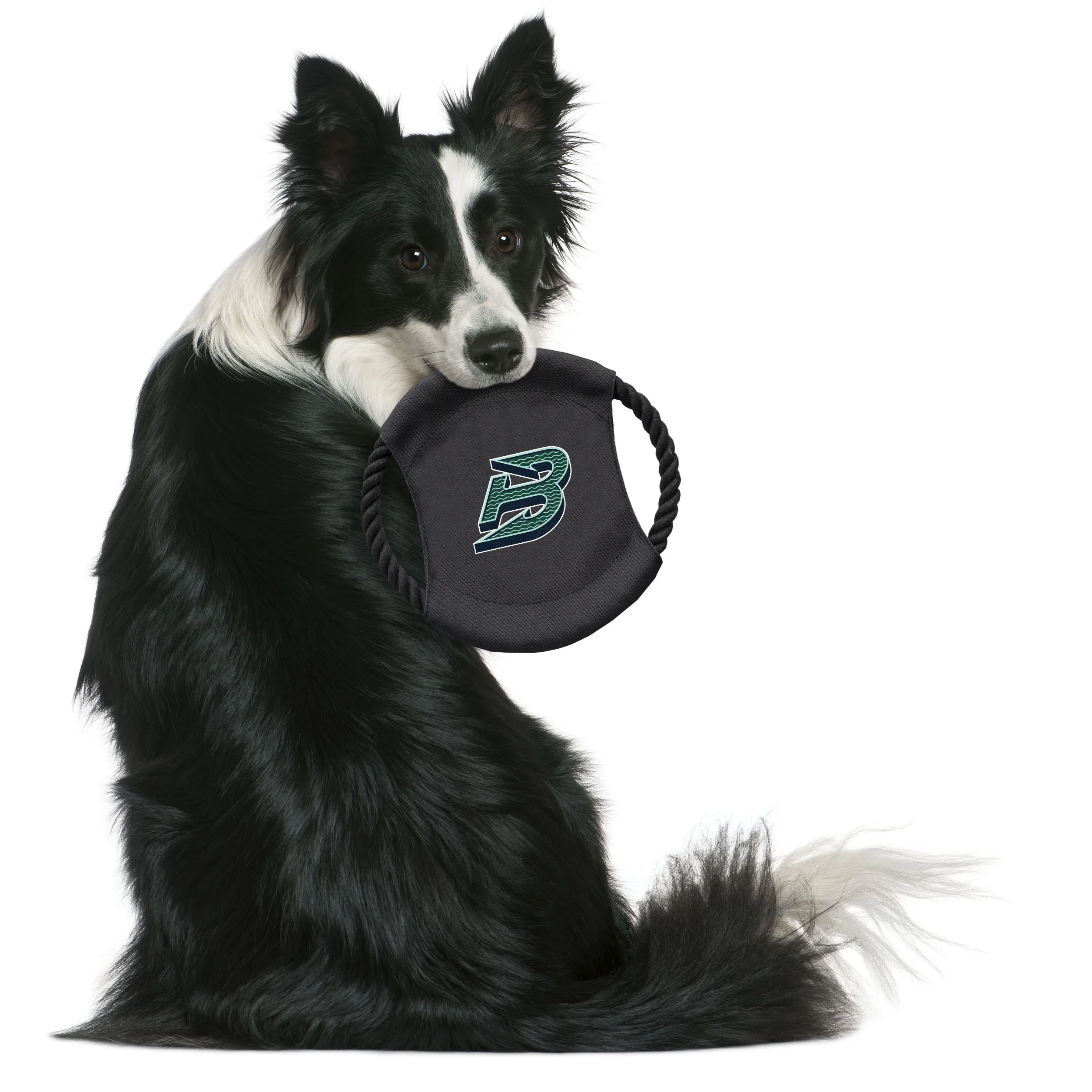 Boston Fleet Flying Disc Pet Toy