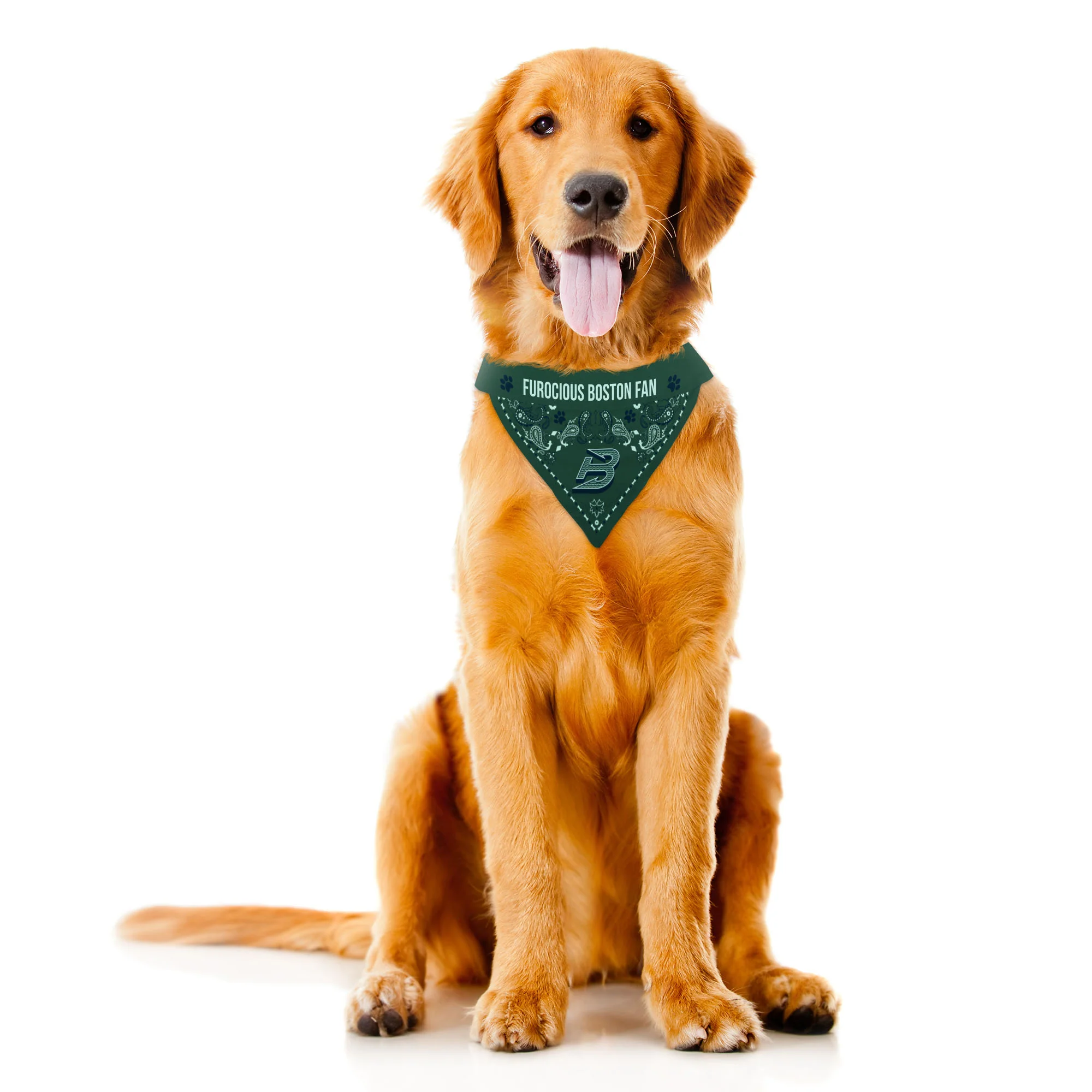 Boston Fleet Reversible Pet Bandana