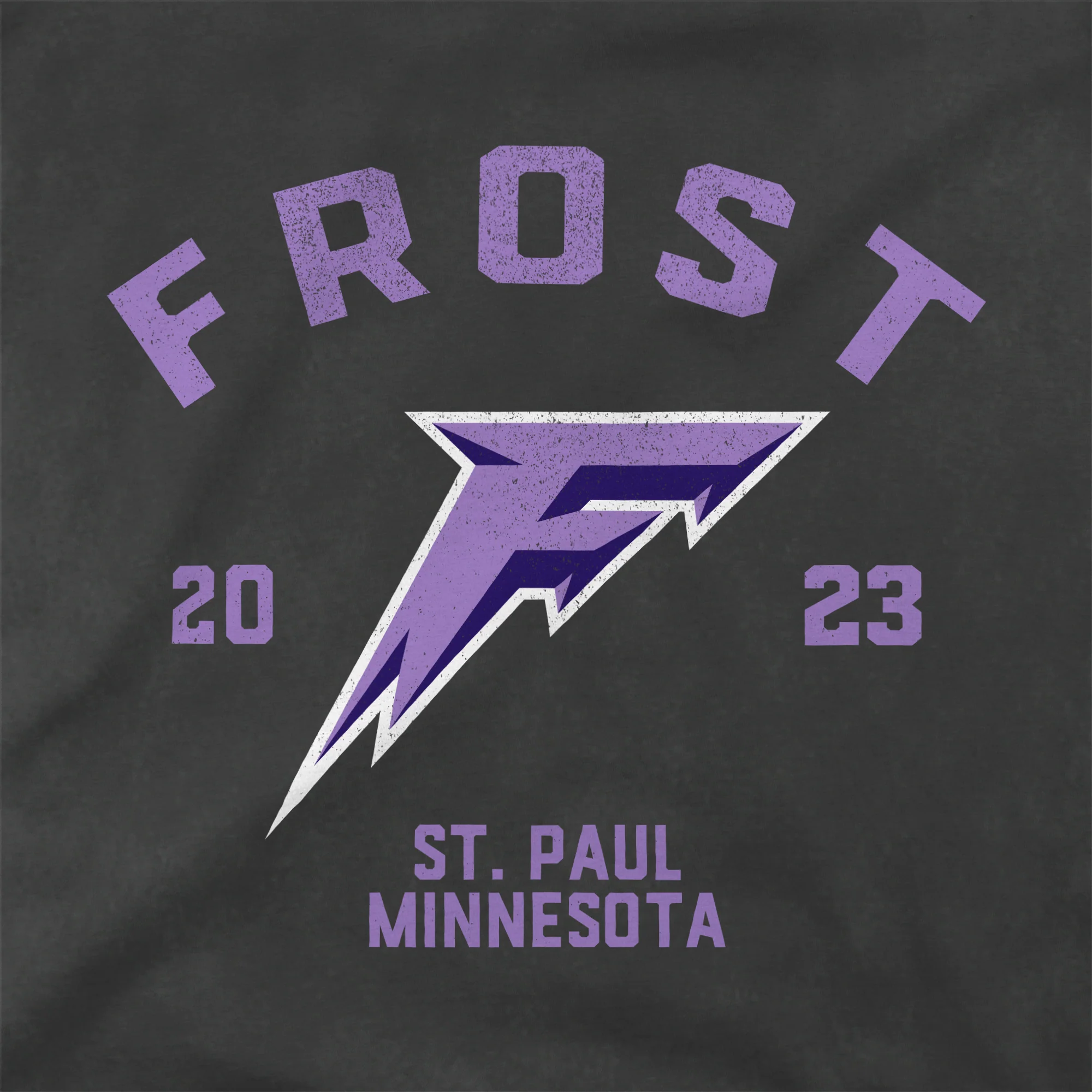 Minnesota Frost Adult Stadium Essentials Get Back Vintage T-Shirt - Image 2