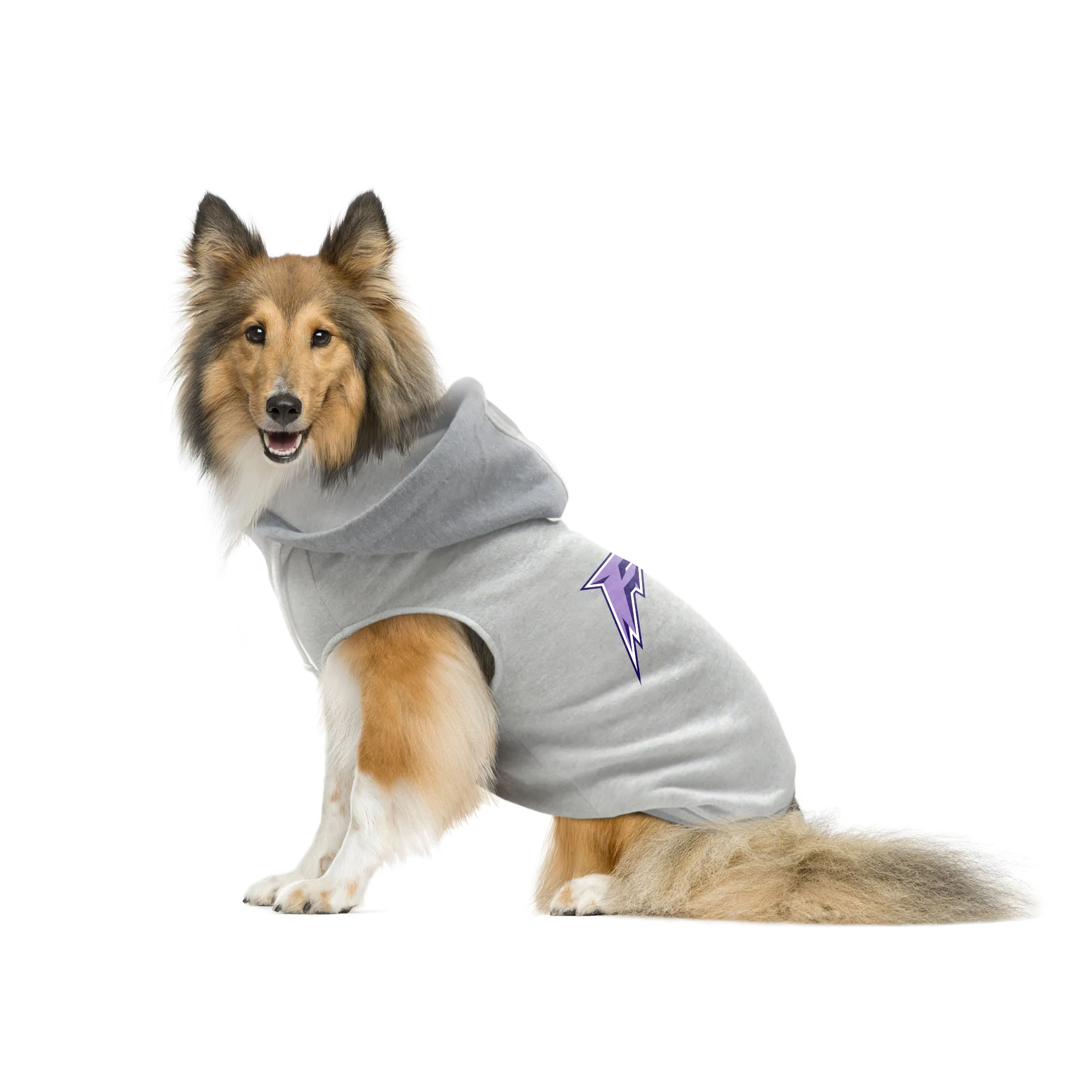Minnesota Frost Pet Hooded Crewneck