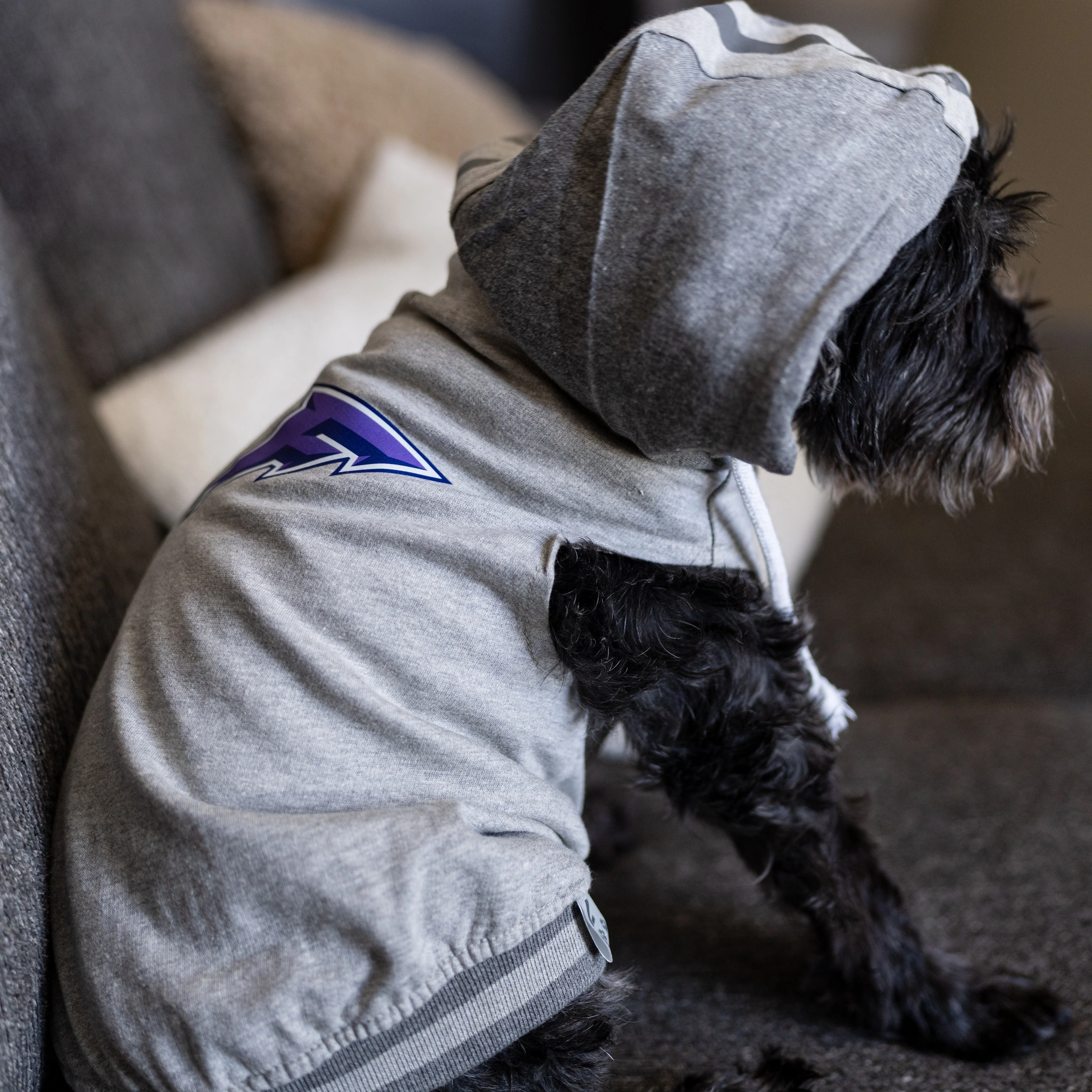 Minnesota Frost Pet Hooded Crewneck - Image 2