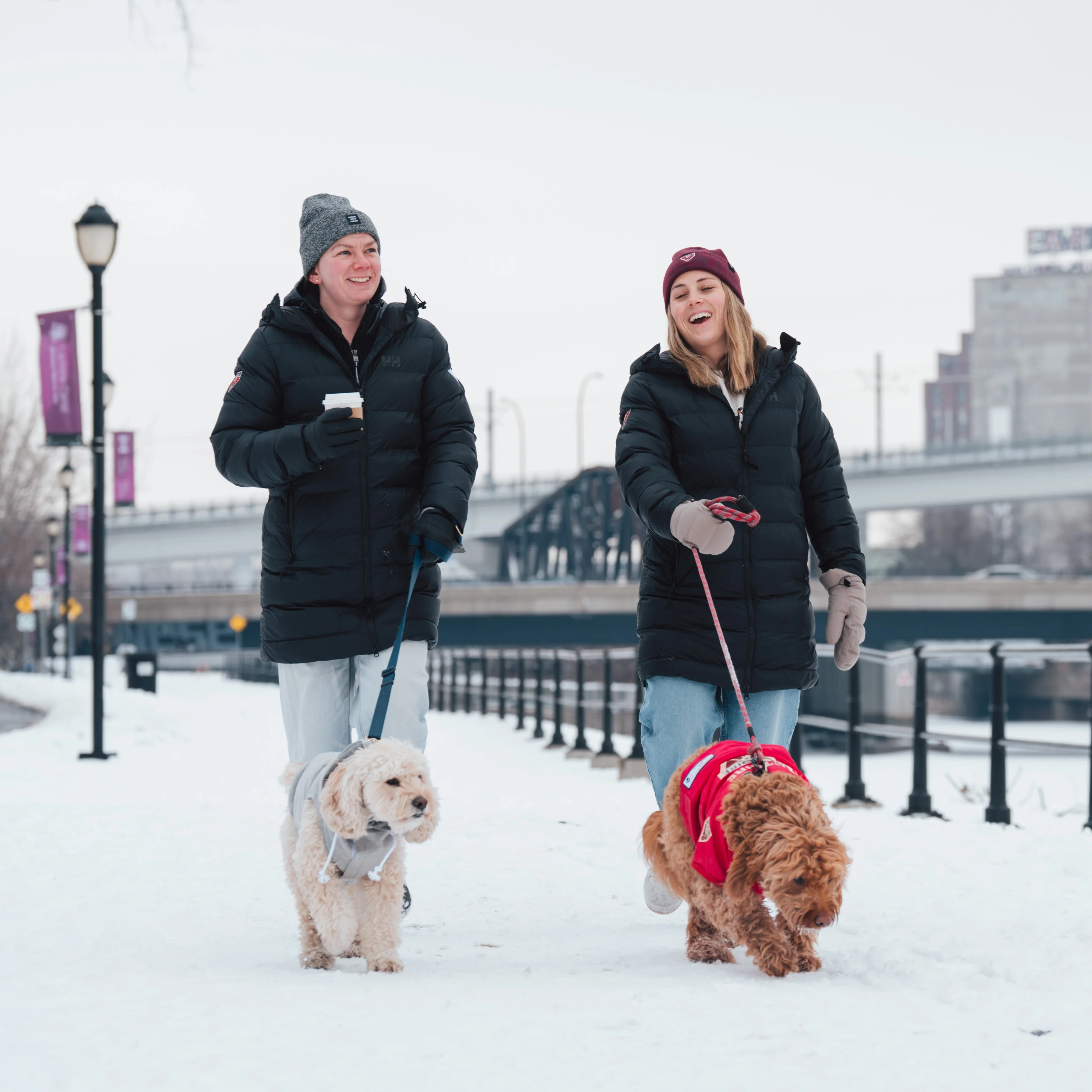 Montreal Victoire Stretch Pet Jersey - Image 5