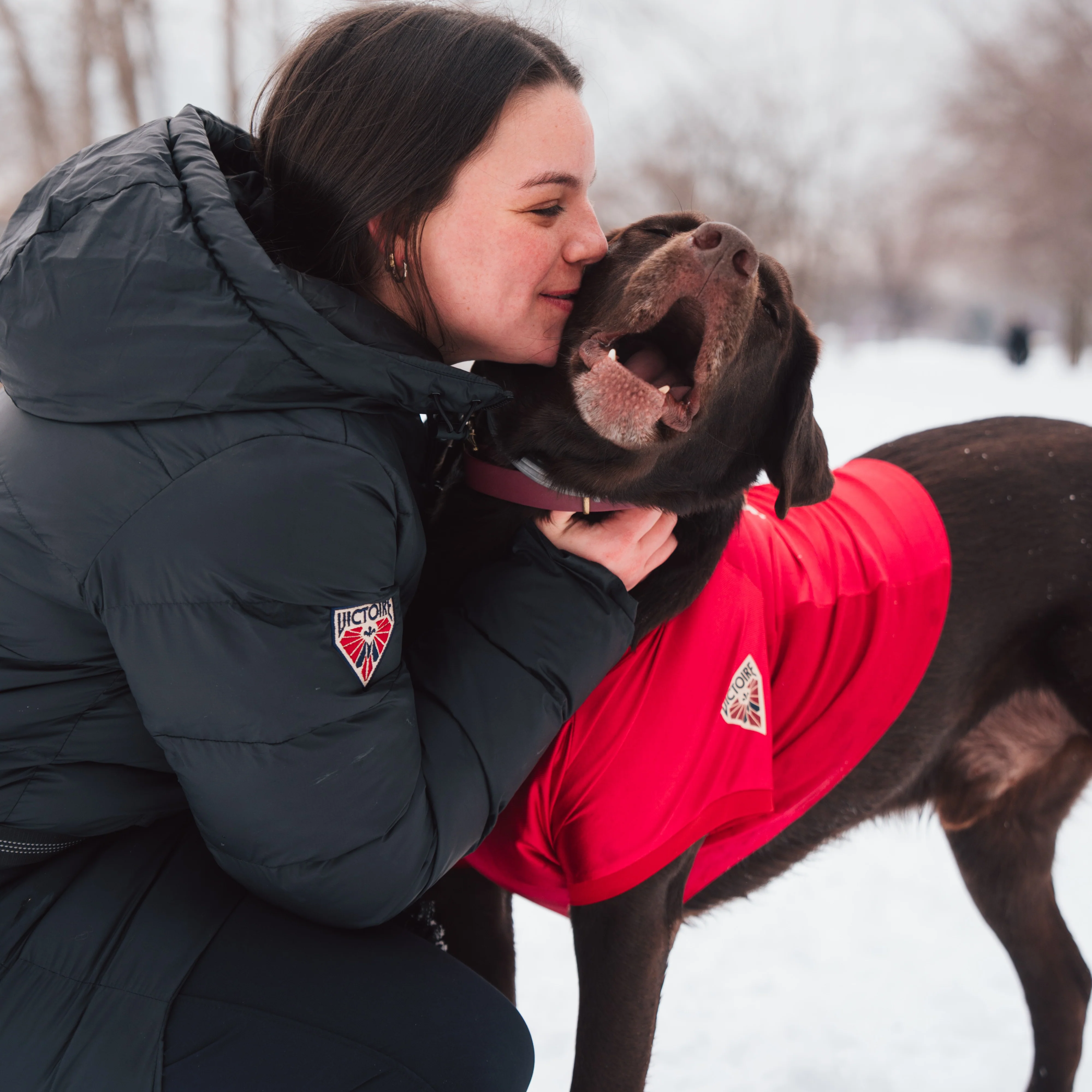 Montreal Victoire Stretch Pet Jersey - Image 6