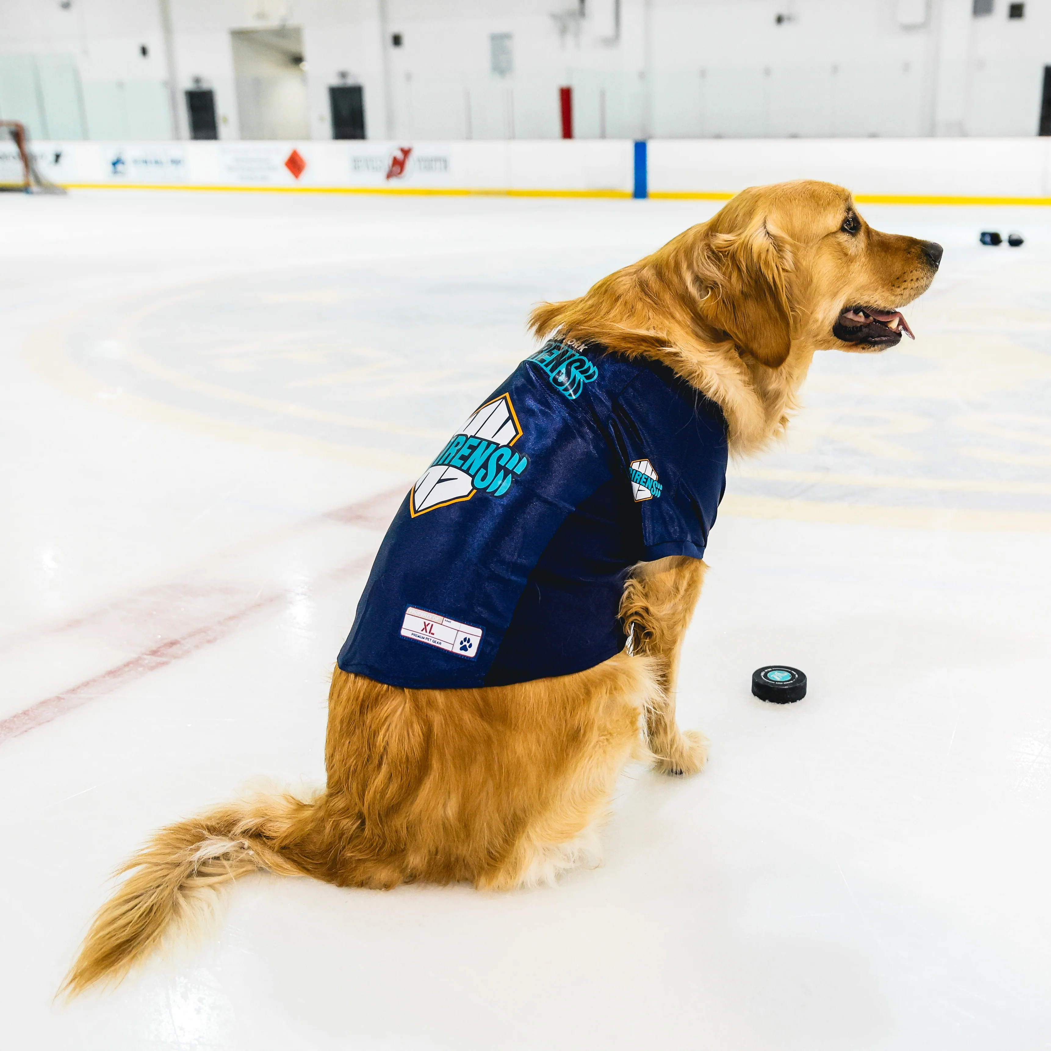 New York Sirens Stretch Pet Jersey - Image 2