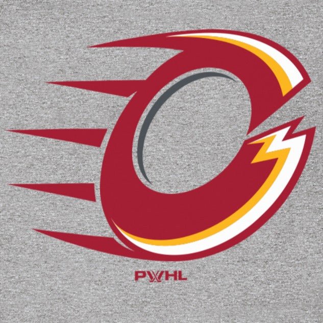 Ottawa Charge Youth Stadium Essentials Logo Hoodie - Image 2