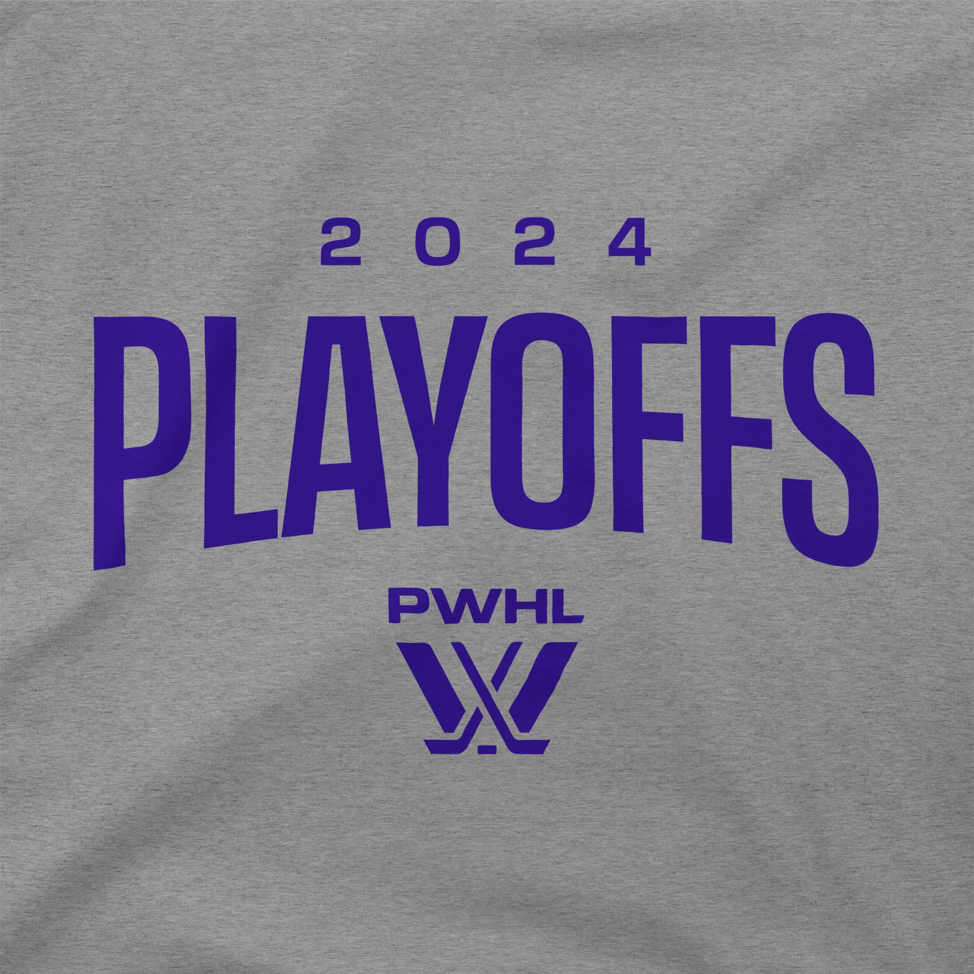 PWHL Playoffs Youth Hoodie - Image 2
